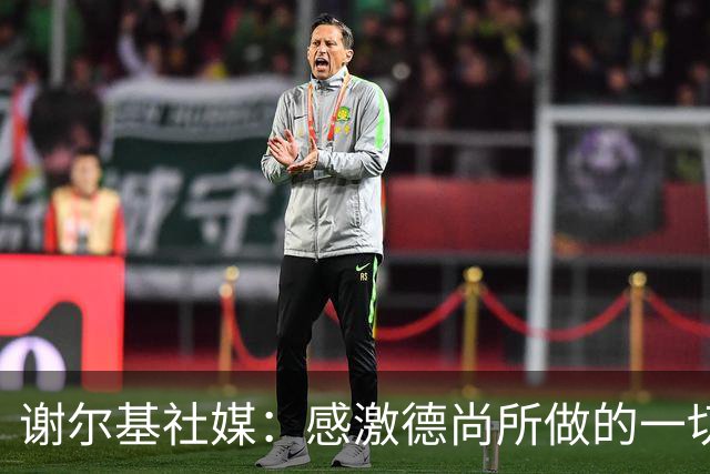 谢尔基社媒：感激德尚所做的一切，我们要让法国以更强姿态回归